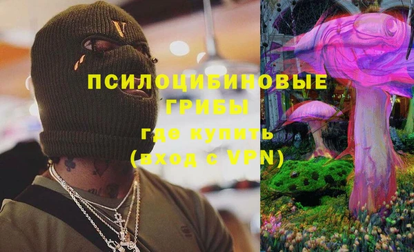 шишки Волосово
